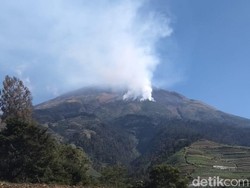 Kebakaran Gunung Sumbing, Pengelola Pastikan Semua Pendaki Telah Turun