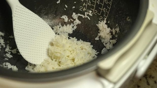 ilustrasi rice cooker