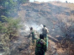 Puncak Kemarau, Lahan di Geopark Tambora Terbakar