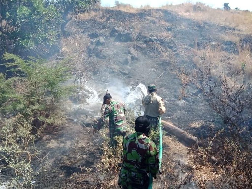 Puncak Kemarau, Lahan di Geopark Tambora Terbakar Puncak Kemarau, Lahan di Geopark Tambora Terbakar