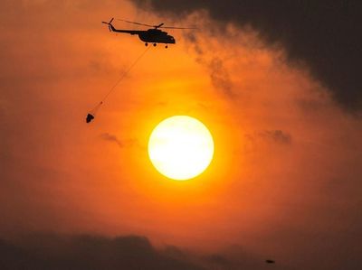 Melihat Perjuangan Damkar Melawan Api di Hutan Riau dan Sumsel