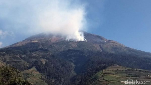 Puluhan Relawan Dikerahkan Padamkan Api di Lereng Gunung Sumbing