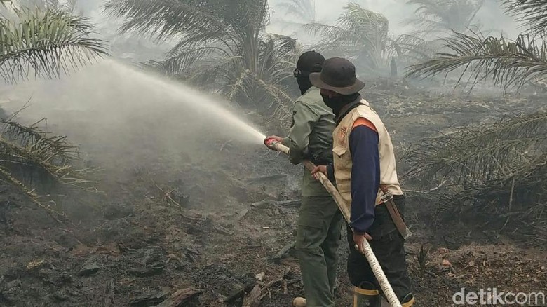 Asap Tebal Selimuti 60 Hektare Lahan Gambut Terbakar di Muba Sumsel