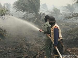 Sudah 1 Minggu, Kebakaran Lahan di Muba Sumsel Belum Padam