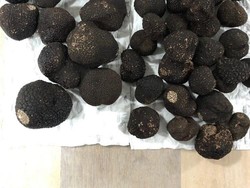Wah! Chef Arnold Unggah Foto 2,5 Kg Black Truffle Seharga 75 Juta