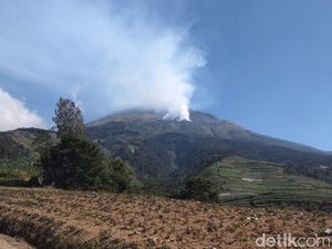 Kebakaran Telah Padam, Jalur Pendakian Gunung Sumbing Dibuka Lagi Kebakaran Telah Padam, Jalur Pendakian Gunung Sumbing Dibuka Lagi