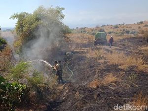 TN Tambora: Kebakaran Dipicu Api dari Pembersihan Lahan Warga