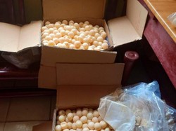 Polisi Sita Seribuan Telur Penyu di Sambas Kalbar