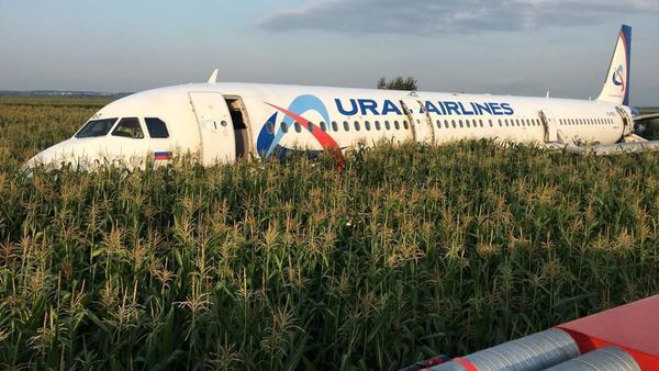 Diserang Camar, Pesawat Maskapai Rusia Terpaksa Mendarat Darurat