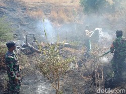 Kebakaran Lahan di Sumbawa Disebut Karena Alih Fungsi Lahan