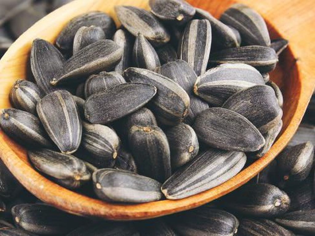 Cari Cemilan Sehat Nggak Bikin Gemuk, Kuaci Bisa Jadi Solusinya Cari Cemilan Sehat Nggak Bikin Gemuk, Kuaci Bisa Jadi Solusinya