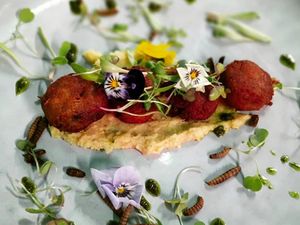 Restoran di Afrika Selatan Ini Hanya Sajikan Makanan dari Serangga