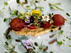 Restoran di Afrika Selatan Ini Hanya Sajikan Makanan dari Serangga