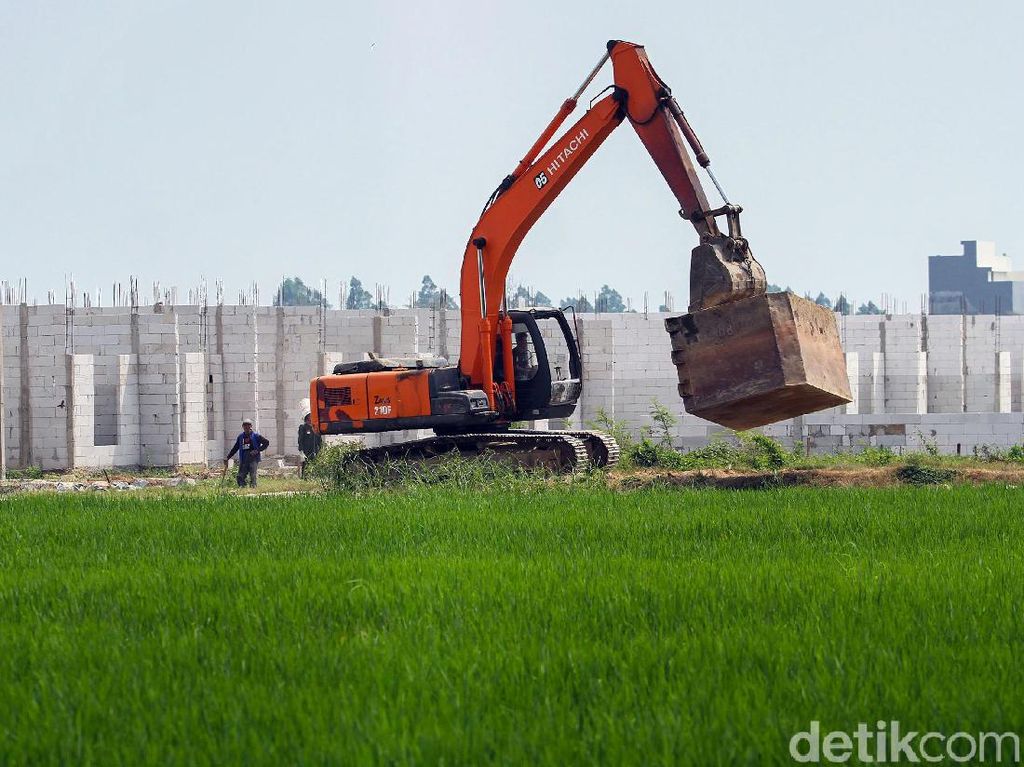 Jokowi Perintahkan Menteri-menteri Selamatkan Sawah Jokowi Perintahkan Menteri-menteri Selamatkan Sawah
