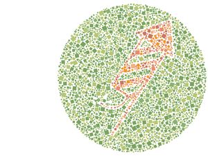 Merdeka! Harus Bebas Buta Warna untuk Melihat Gambar Tersembunyi Berikut