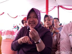 Tekan Polusi Udara, Risma Terus Tanam Pohon Imbangi Jumlah Kendaraan