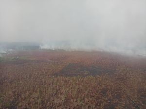 49 Titik Panas Karhutla Terdeteksi di Kalimantan Tengah