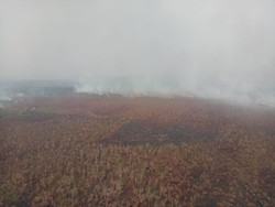 49 Titik Panas Karhutla Terdeteksi di Kalimantan Tengah