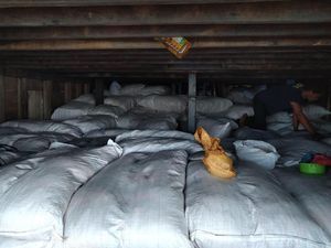 Bea Cukai Gagalkan Penyelundupan 2.861 Karung Pakaian Bekas dari Timor Leste Bea Cukai Gagalkan Penyelundupan 2.861 Karung Pakaian Bekas dari Timor Leste