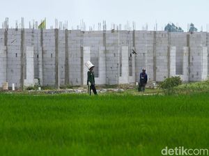 Cegah Lahan Pertanian Diserobot, Darmin Kumpulkan Menteri-menteri