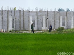 Cegah Lahan Pertanian Diserobot, Darmin Kumpulkan Menteri-menteri