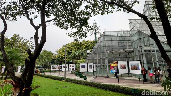 Foto: 8 Taman Cantik di Jakarta untuk Santai-santai