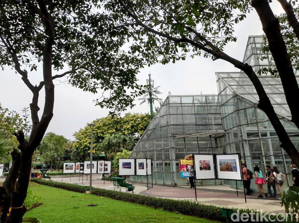 Foto: 8 Taman Cantik di Jakarta untuk Santai-santai Foto: 8 Taman Cantik di Jakarta untuk Santai-santai