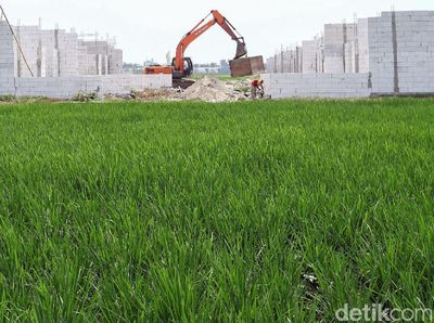 Alih Fungsi Lahan Mengancam Ribuan Sawah di Kabupaten Bekasi