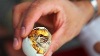 10 Hidangan Nasional Negara Ini Bikin Geleng-geleng Kepala