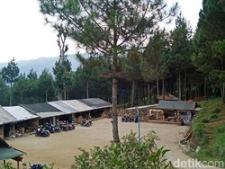 Wisata di KPH Bandung Utara Aman dari Abu Tangkuban Perahu