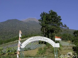Bapak dan Anak Di-Blacklist karena Nekat Mendaki Gunung Slamet