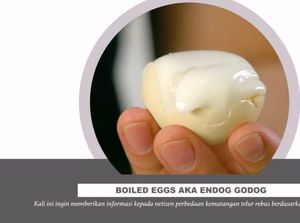 Chef Arnold Poernomo Bocorkan Rahasia Bikin Endog Godog Alias Telur Rebus Chef Arnold Poernomo Bocorkan Rahasia Bikin Endog Godog Alias Telur Rebus
