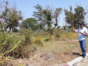 Dubes UEA Cek Lahan Eks Depo Pertamina di Solo, Ada Apa?