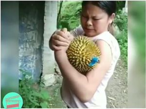 Ngilu! Begini Aksi Wanita Super Kupas Durian dengan Otot Lengannya