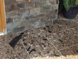 Kaca Rumah Ortu Tersangka Insiden Polisi Terbakar Pecah Dilempar Batu