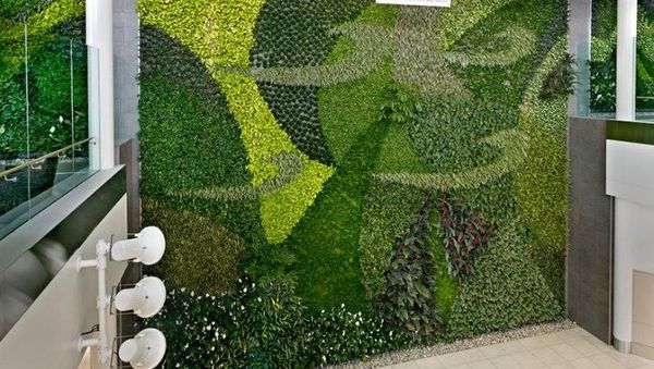 Dinding Bandara Ini Dibikin Taman Vertikal, Intip Yuk