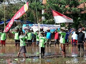 Khidmatnya Petani Banyuwangi Gelar Upacara Bendera di Tengah Sawah