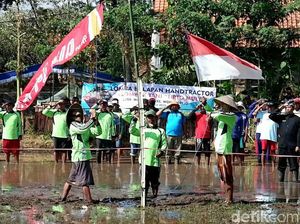 Para Petani di Banyuwangi Gelar Upacara HUT ke-74 RI