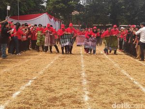 Saat Hasto Kalahkan Djarot di Lomba Lari Sarung pada HUT Ke-74 RI