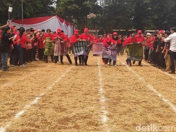 Saat Hasto Kalahkan Djarot di Lomba Lari Sarung pada HUT Ke-74 RI