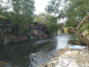 Alasan Warga di Bantaran Perlebar Lahan ke Kali Ciliwung Alasan Warga di Bantaran Perlebar Lahan ke Kali Ciliwung