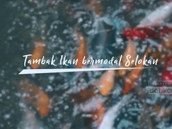 Dekat dari Jakarta. Selokan ini Dipenuhi Ikan-ikan Gemuk