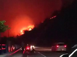 Bukit Pandanan Lombok Utara Terbakar