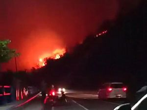Bukit Pandanan Lombok Utara Terbakar, Akses Wisata Terganggu Bukit Pandanan Lombok Utara Terbakar, Akses Wisata Terganggu