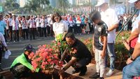 Momen Anies Tanam Bugenvil Demi Atasi Polusi Udara