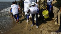 Momen Menteri Susi Bersih-bersih Pantai Timur Ancol