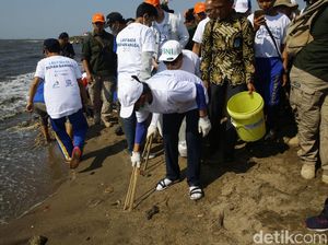Momen Menteri Susi Bersih-bersih Pantai Timur Ancol