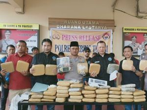 Duet Polisi-BNN Bongkar 180 Kg Ganja Disembunyikan di Bawah Kasur