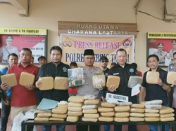 Duet Polisi-BNN Bongkar 180 Kg Ganja Disembunyikan di Bawah Kasur