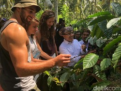 Festival Petik Kopi Banyuwangi Hadirkan Sensasi Bangunan Kolonial Belanda